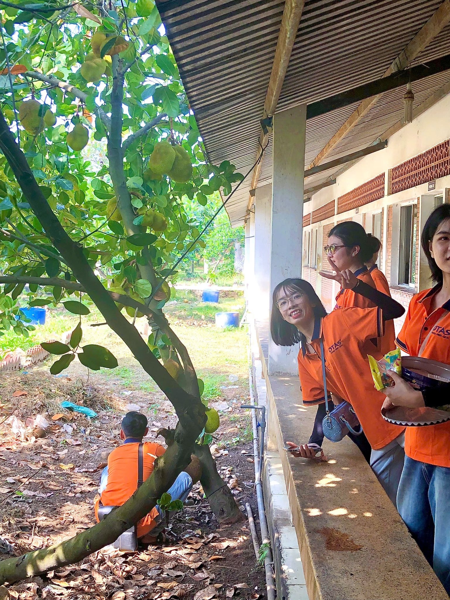 624855112 10233146836148150 7747125754868680639 N