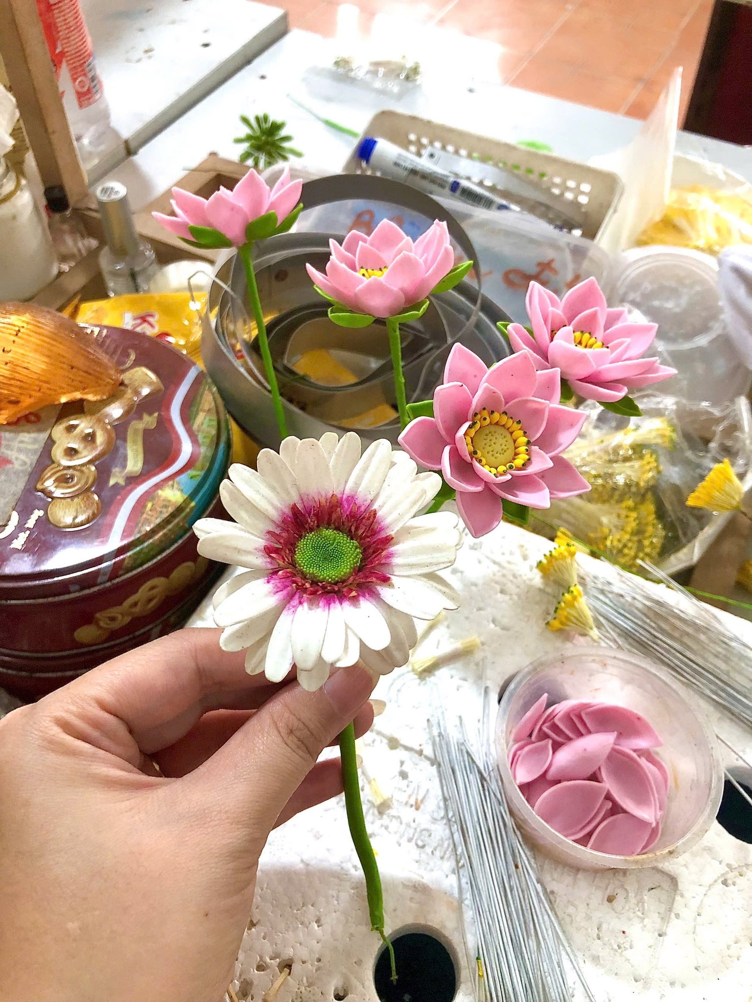 625019087 10233146840588261 7998190803826514392 N