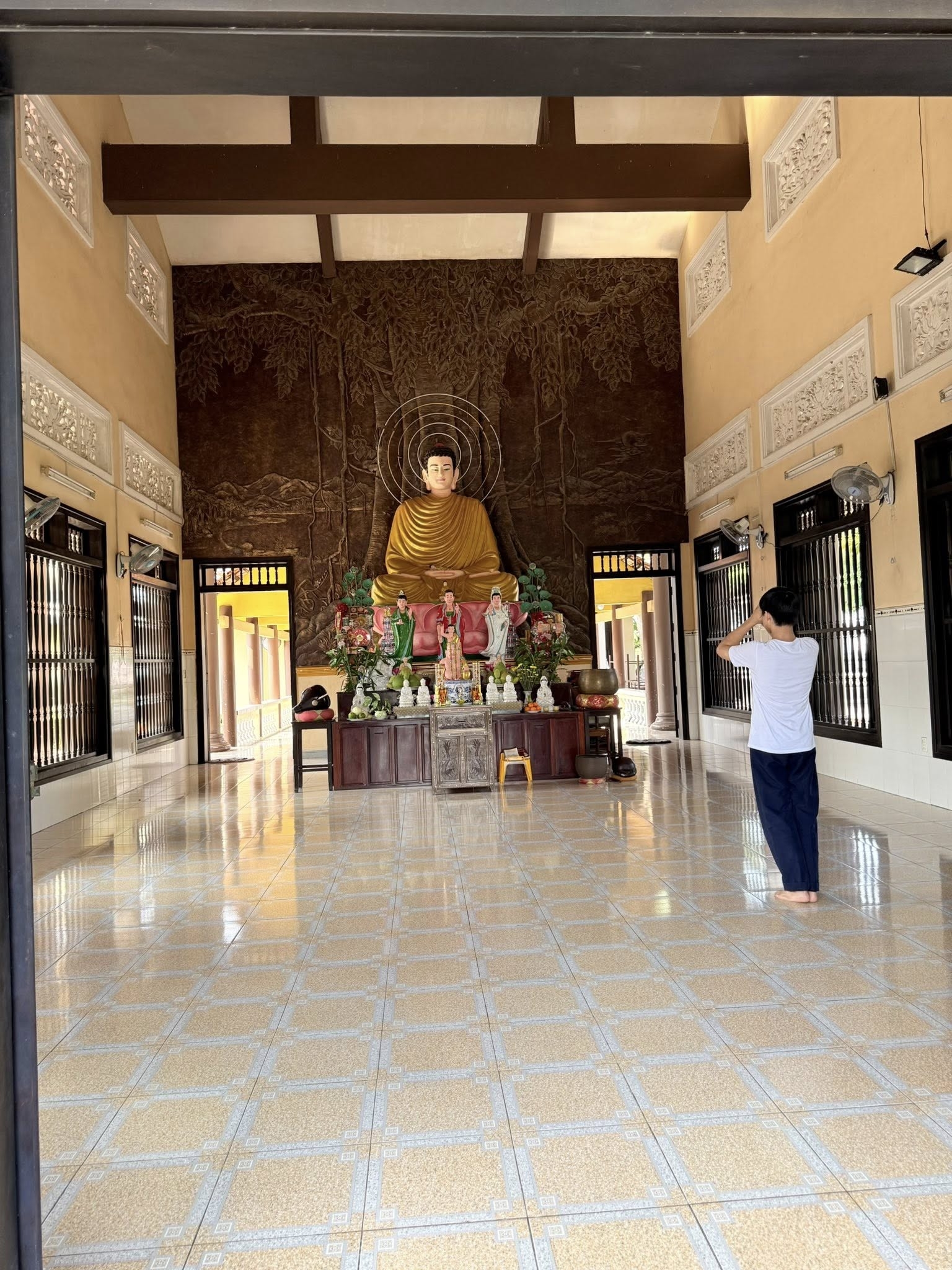 682070247 10234171196876528 2075454627210762266 N