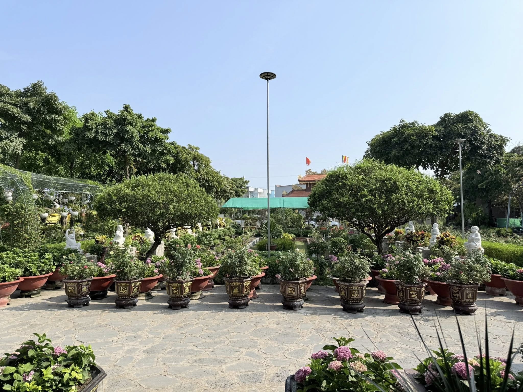 682108181 10234171198916579 5726743543982193012 N